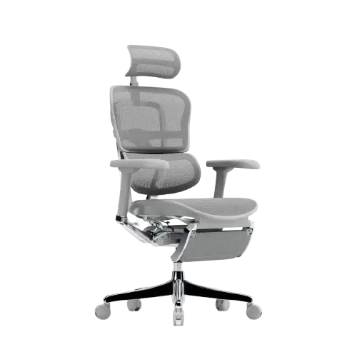 Ergohuman Legpro Grey Office Chair 2