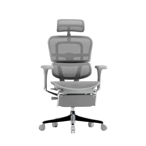 Ergohuman Legpro Grey Office Chair 3