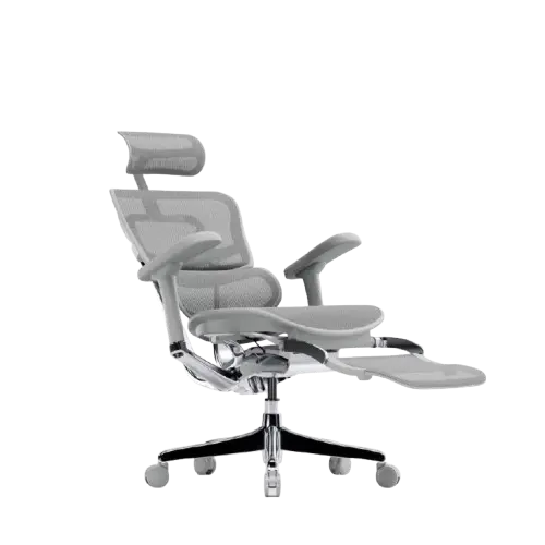Ergohuman Legpro Grey Office Chair 4