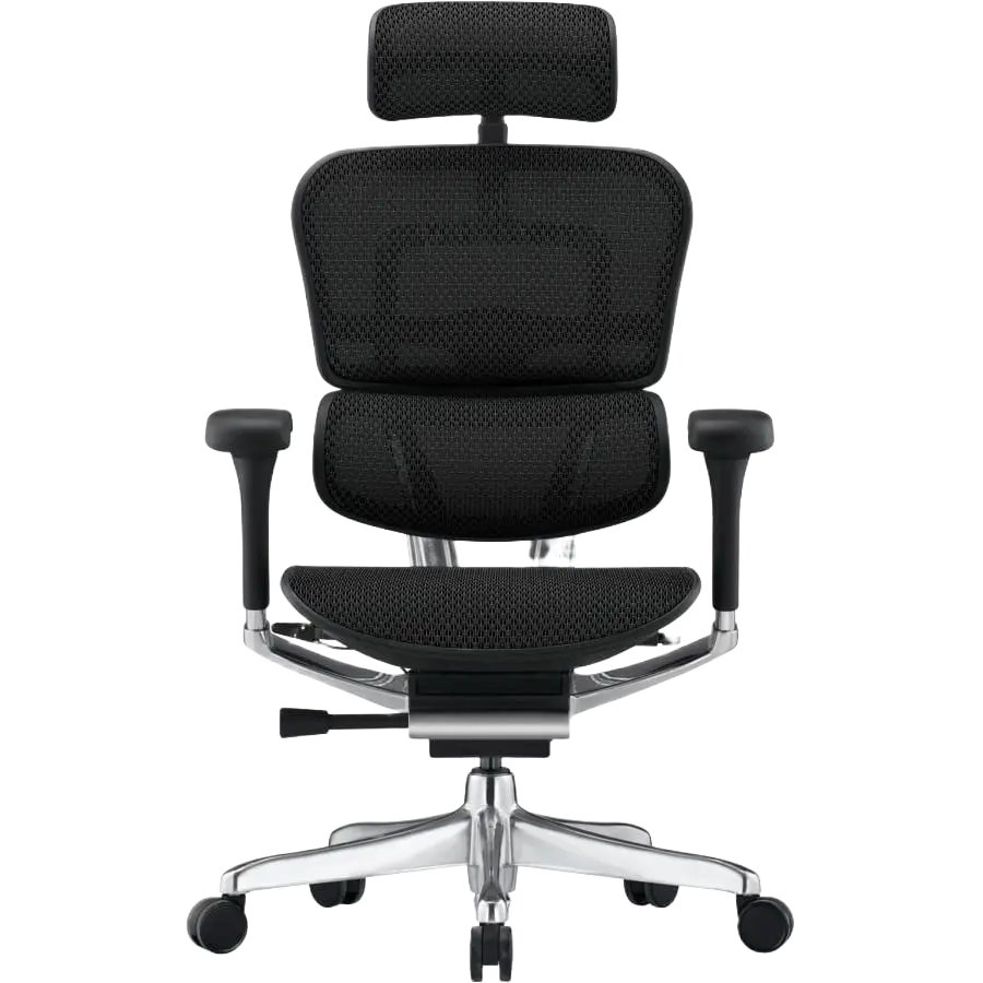 Ergohuman Ergonomic Chair 2