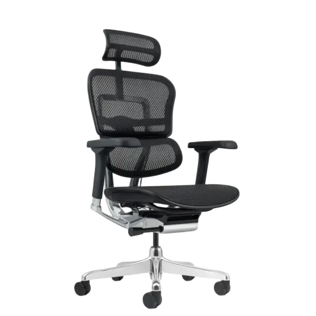 Ergohuman Ergonomic Chair 6