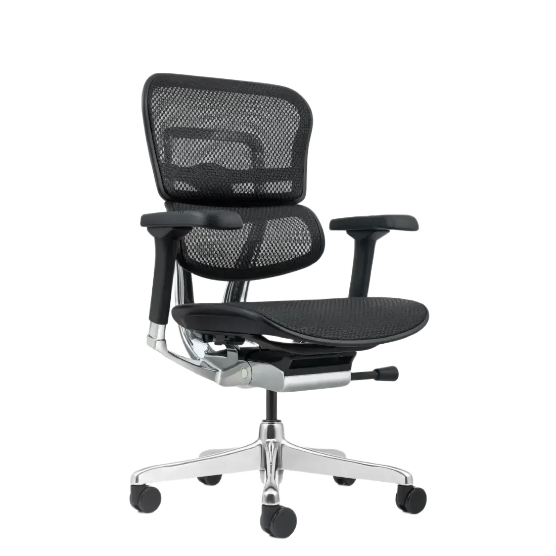 Ergohuman Full mesh MB Chair 1