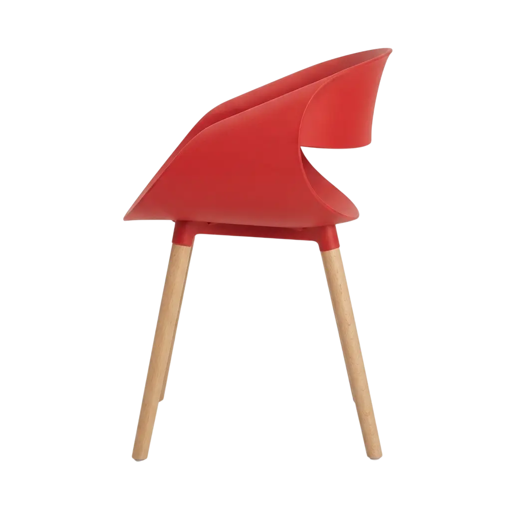 Tulip (Wooden legs) 2