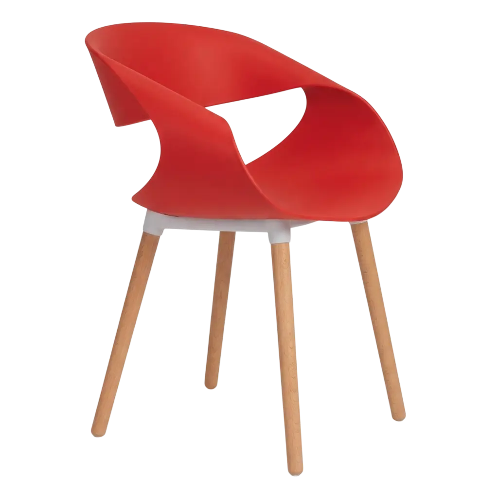 Tulip (Wooden legs) 4