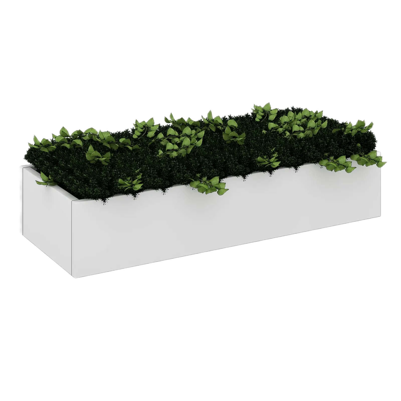 Cubeform 10