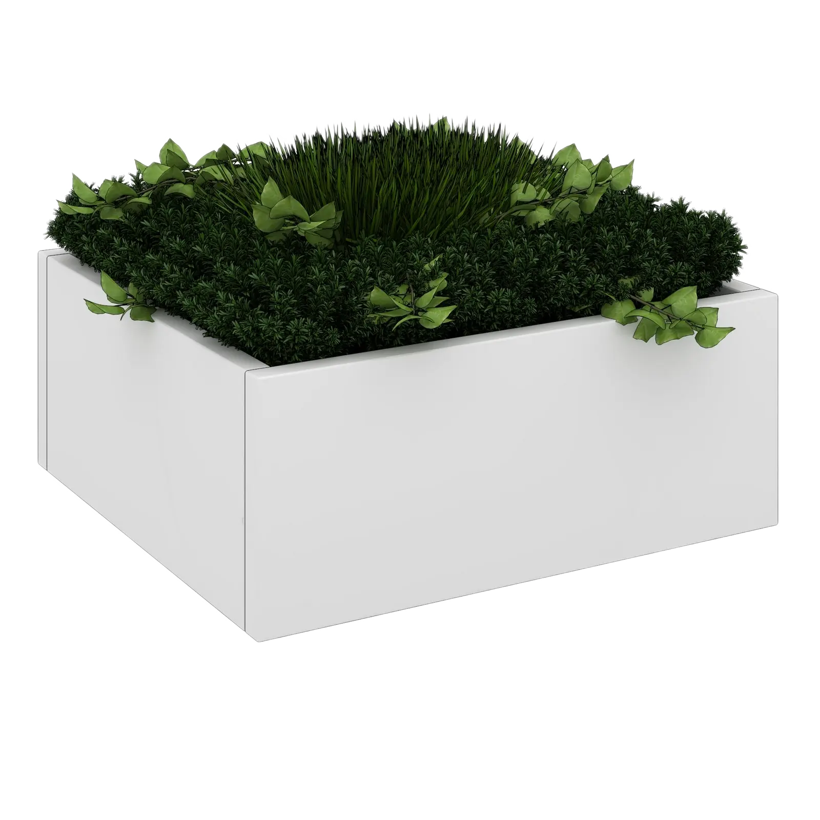 Cubeform 12