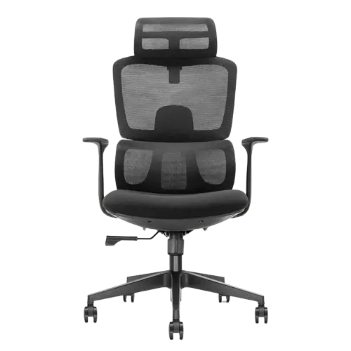 Bravo Executive Chair 1