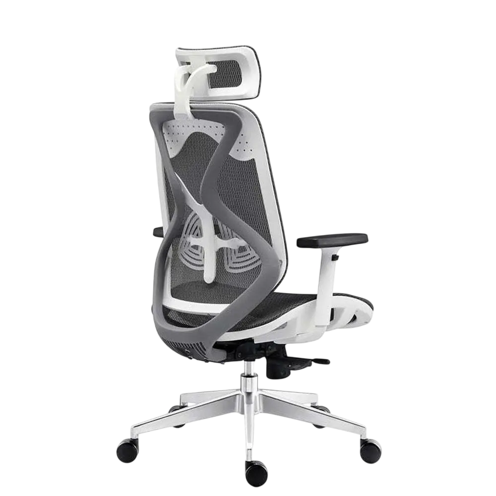 Zoner Chair with headrest 2