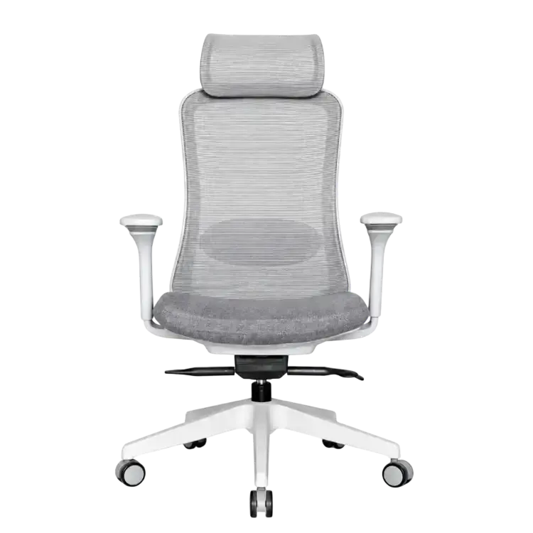 Titan Ergonomic Chair Grey 1