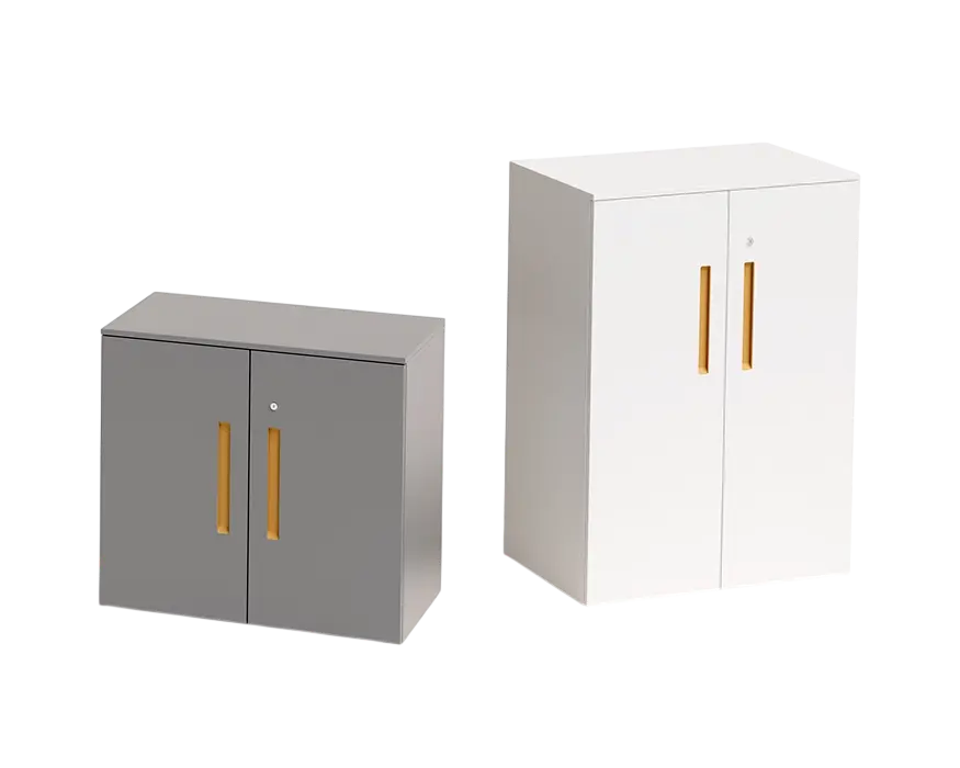 Swing Door Steel Cabinet 1