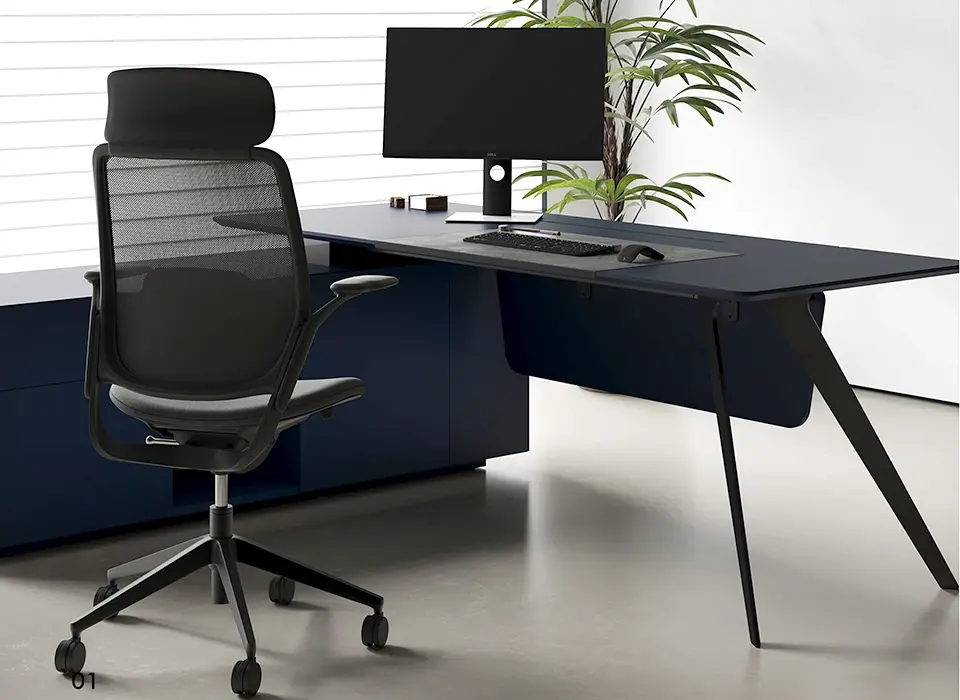 Executive Desk | Flex Overview
