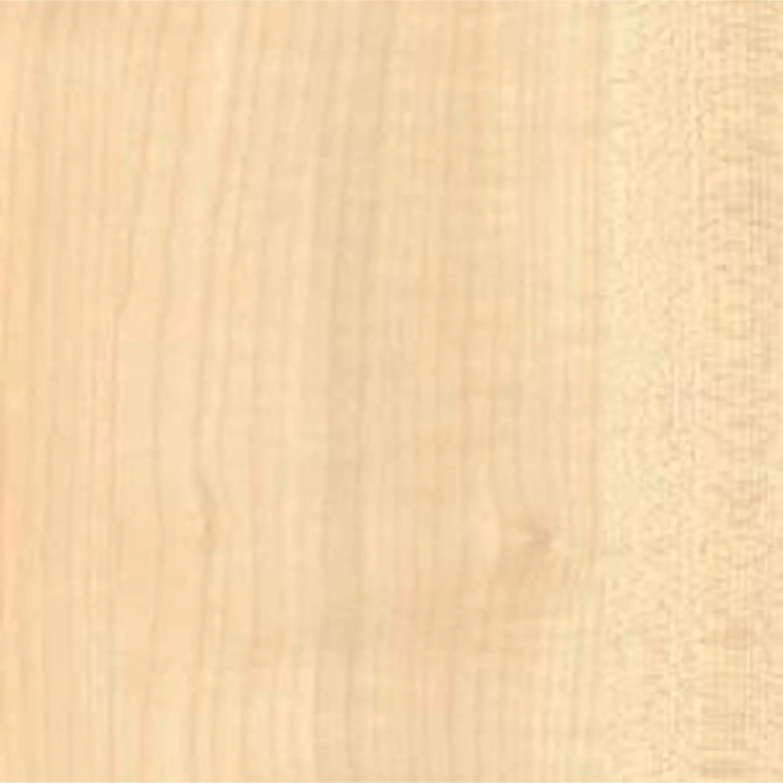Thansau Maple