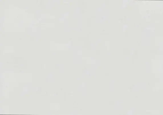XD-1009 White