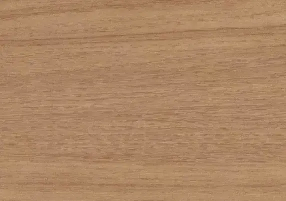 XD-1037 Bullace Elm