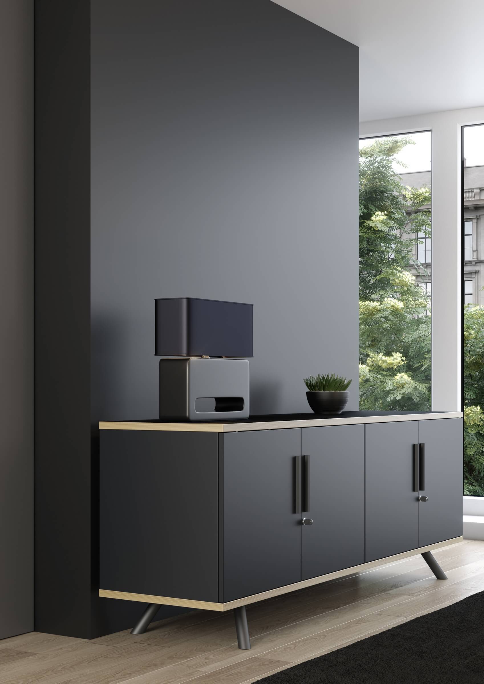 Modular Storage Cabinet 13