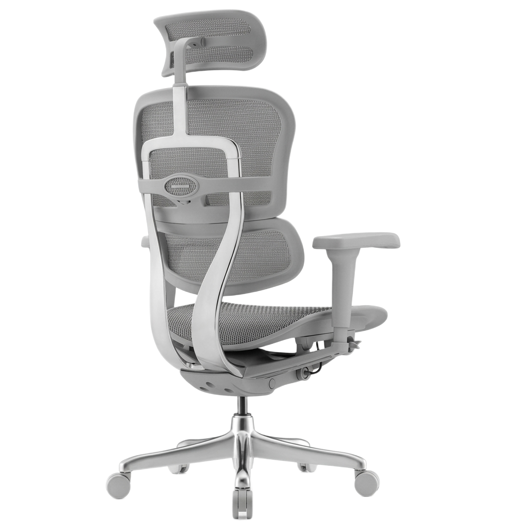 Ergo Human Chair 1