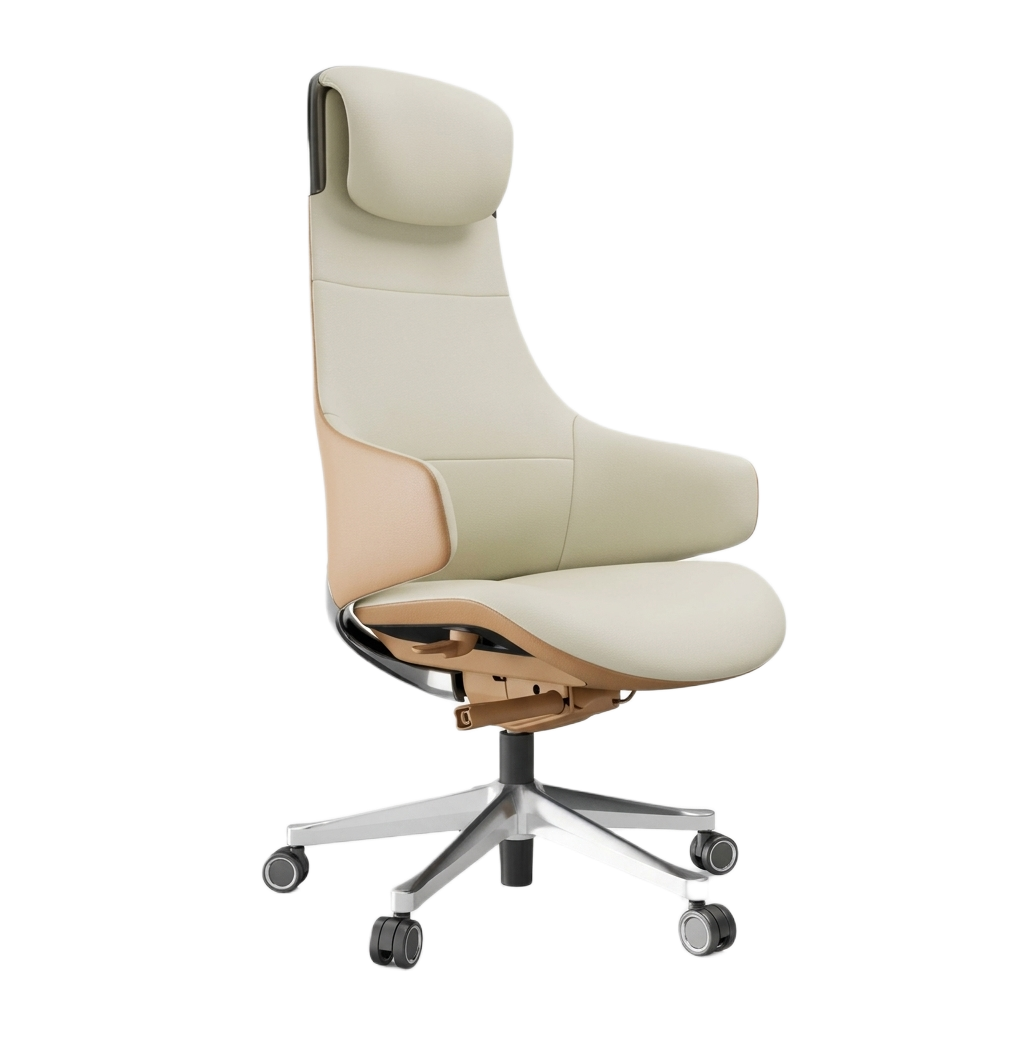Rayback Chair 5
